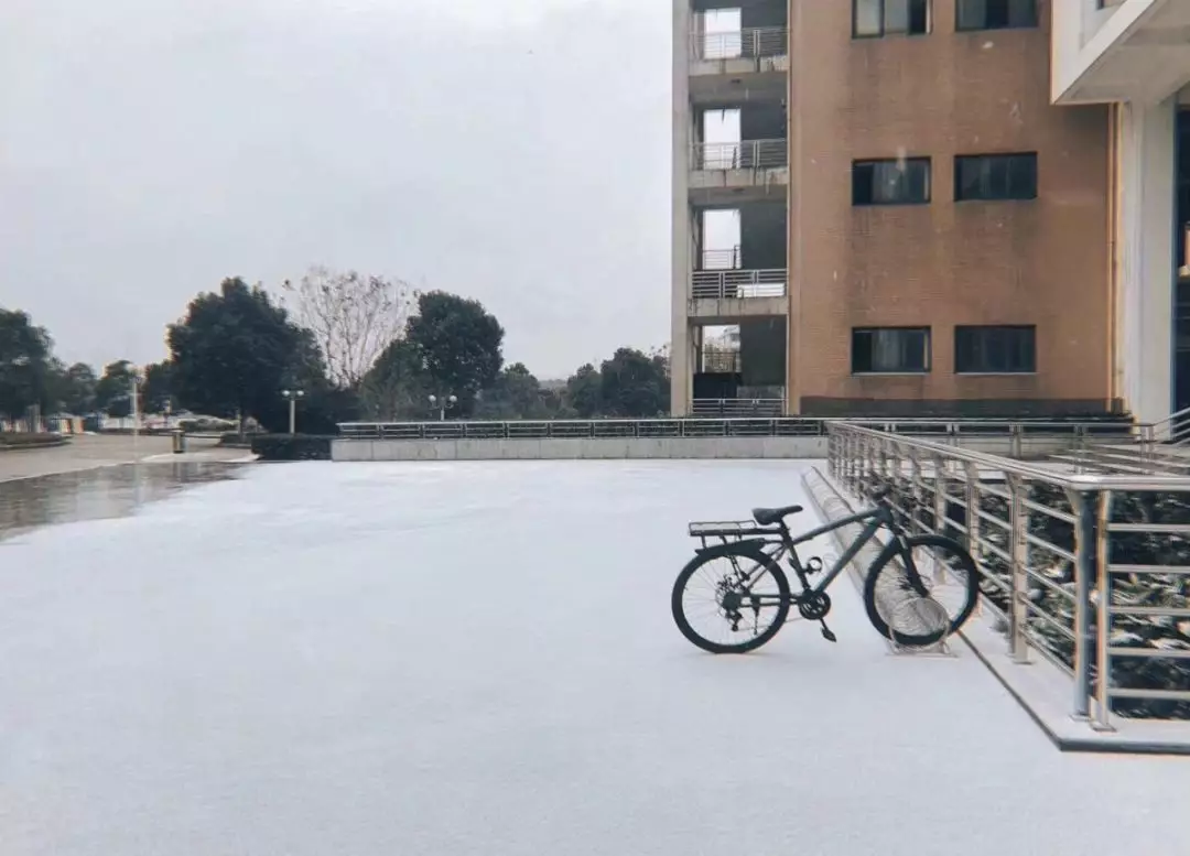 雪中逸夫楼前的自行车